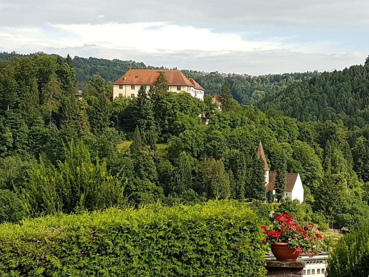 Ferienwohnung Buchberg Exklusiv Neuenburg  Exteriér fotografie