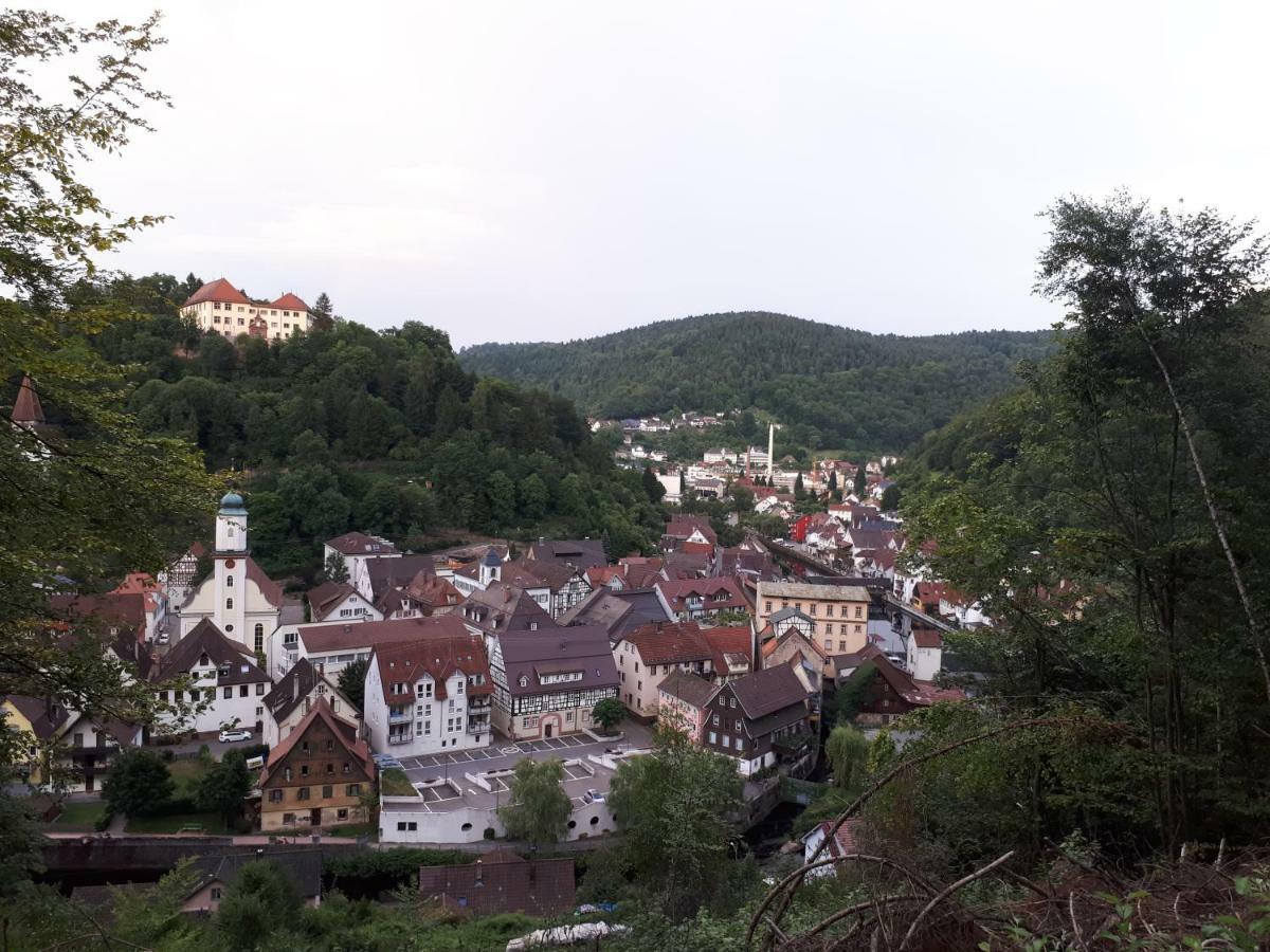 Ferienwohnung Buchberg Exklusiv Neuenburg  Exteriér fotografie